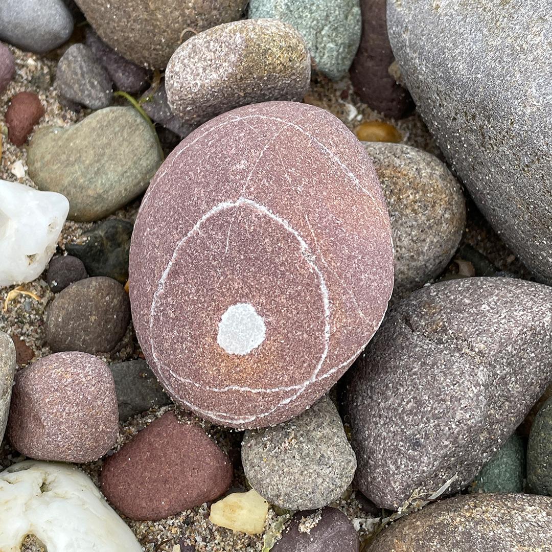 Strandgut-Julibüchlein ©muellerinartstudio