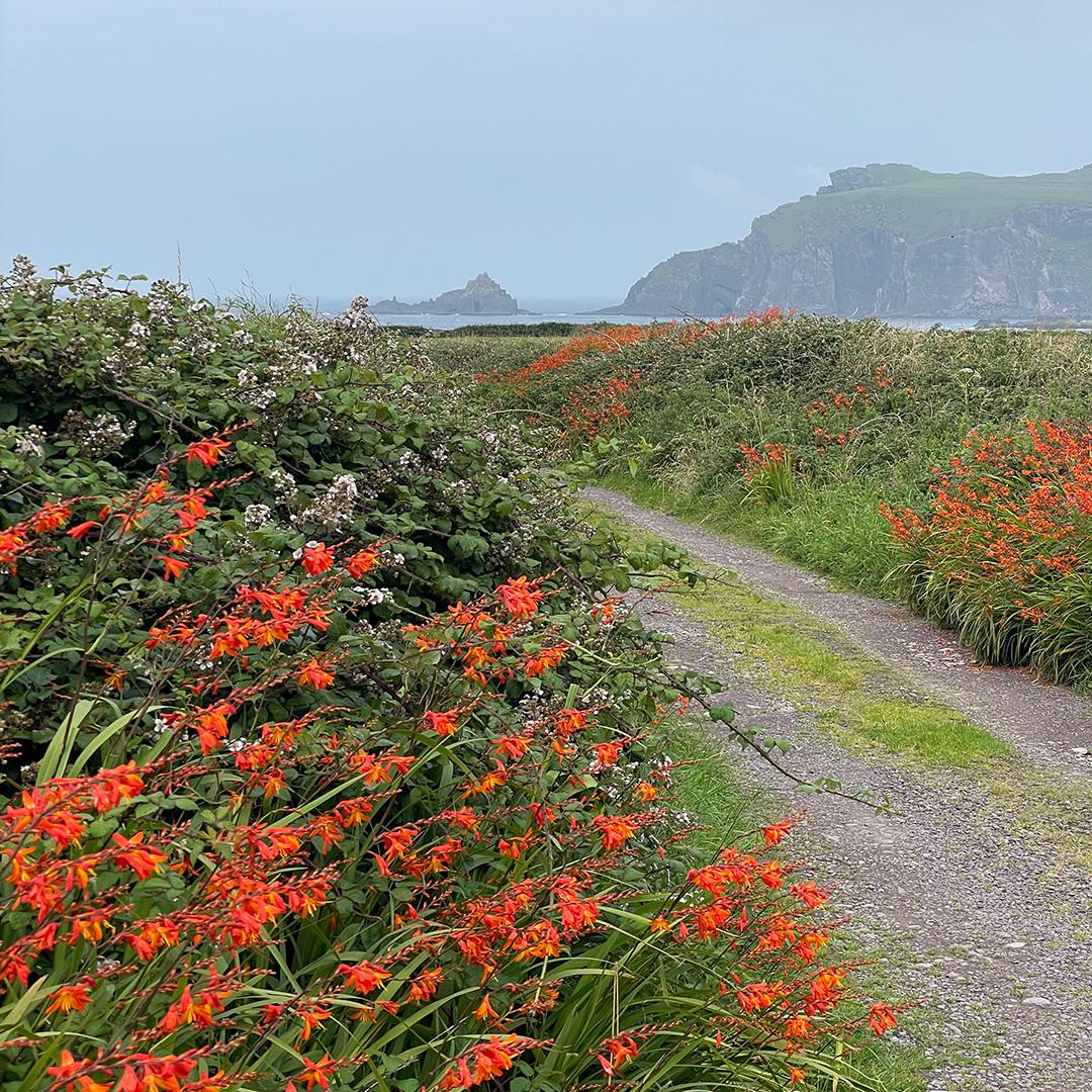 Irland ©muellerinartstudio
