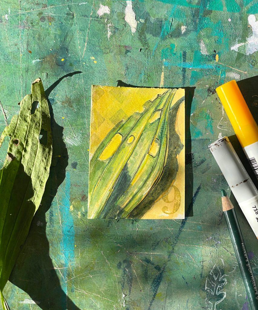 9/100 bunte Blätter ©muellerinartstudio