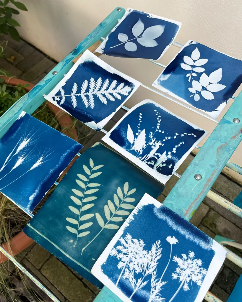 blauer Sommer 2026 ©muellerinartstudio