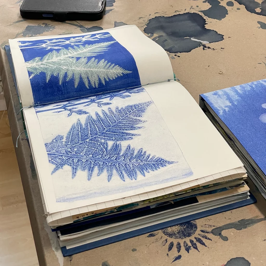 blauer Sommer 2026 ©muellerinartstudio